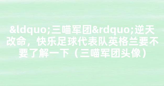 “三喵军团”逆天改命，快乐足球代表队英格兰要不要了解一下（三喵军团头像）