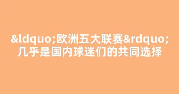 “欧洲五大联赛”几乎是国内球迷们的共同选择