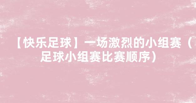 【快乐足球】一场激烈的小组赛（足球小组赛比赛顺序）