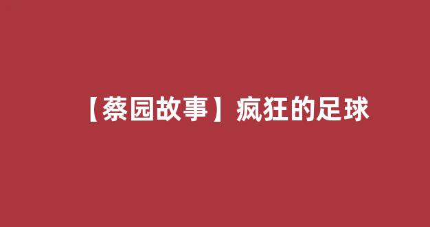 【蔡园故事】疯狂的足球