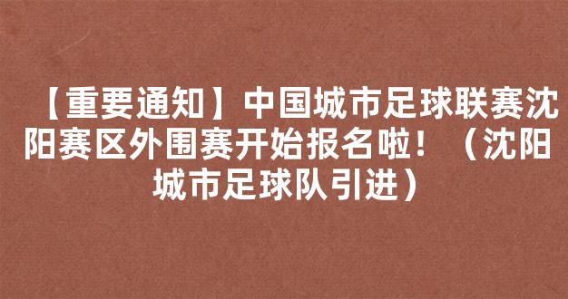 【重要通知】中国城市足球联赛沈阳赛区外围赛开始报名啦！（沈阳城市足球队引进）