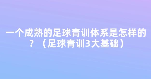 一个成熟的足球青训体系是怎样的？（足球青训3大基础）