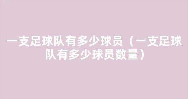 一支足球队有多少球员（一支足球队有多少球员数量）