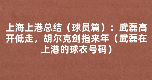 上海上港总结（球员篇）：武磊高开低走，胡尔克剑指来年（武磊在上港的球衣号码）