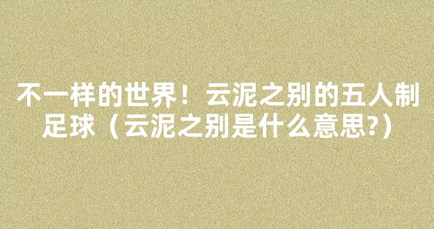 不一样的世界！云泥之别的五人制足球（云泥之别是什么意思?）