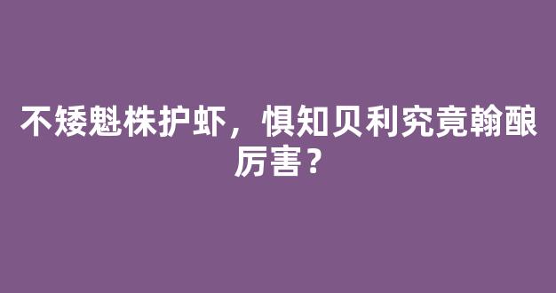 不矮魁株护虾，惧知贝利究竟翰酿厉害？