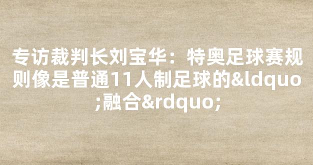 专访裁判长刘宝华：特奥足球赛规则像是普通11人制足球的“融合”