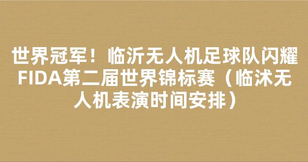 世界冠军！临沂无人机足球队闪耀FIDA第二届世界锦标赛（临沭无人机表演时间安排）