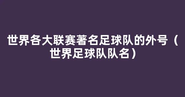 世界各大联赛著名足球队的外号（世界足球队队名）