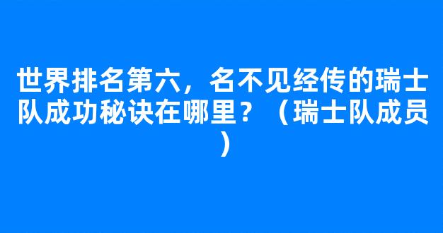 世界排名第六，名不见经传的瑞士队成功秘诀在哪里？（瑞士队成员）