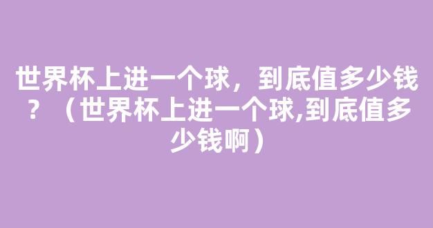 世界杯上进一个球，到底值多少钱？（世界杯上进一个球,到底值多少钱啊）