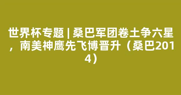 世界杯专题 | 桑巴军团卷土争六星，南美神鹰先飞博晋升（桑巴2014）