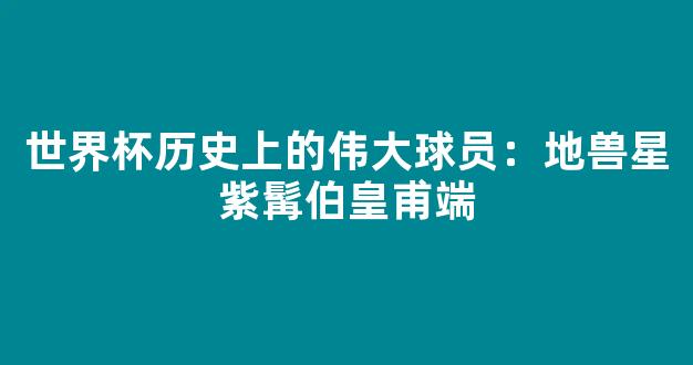 世界杯历史上的伟大球员：地兽星紫髯伯皇甫端