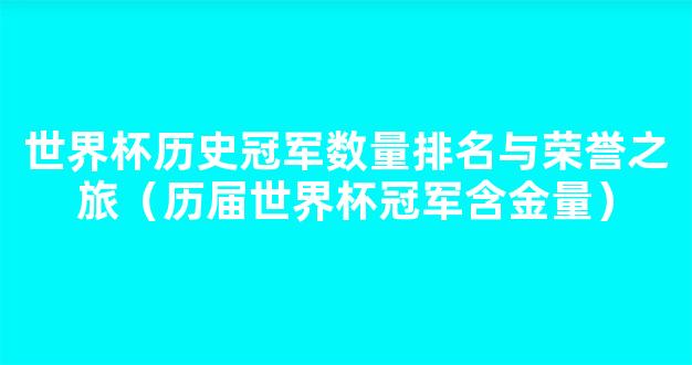 世界杯历史冠军数量排名与荣誉之旅（历届世界杯冠军含金量）