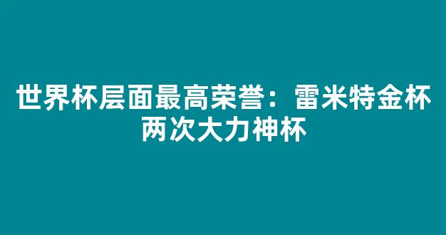 世界杯层面最高荣誉：雷米特金杯两次大力神杯