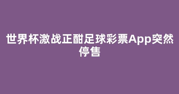 世界杯激战正酣足球彩票App突然停售