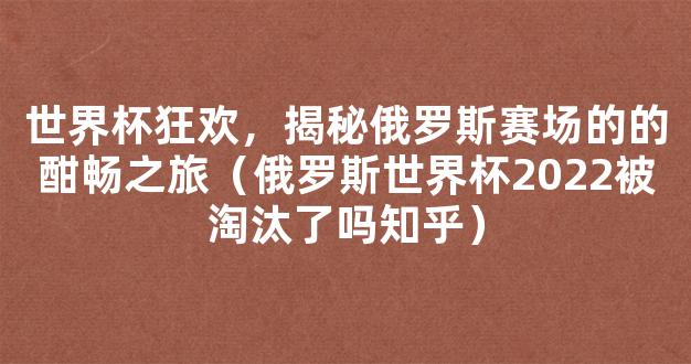 世界杯狂欢，揭秘俄罗斯赛场的的酣畅之旅（俄罗斯世界杯2022被淘汰了吗知乎）