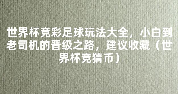 世界杯竞彩足球玩法大全，小白到老司机的晋级之路，建议收藏（世界杯竞猜币）