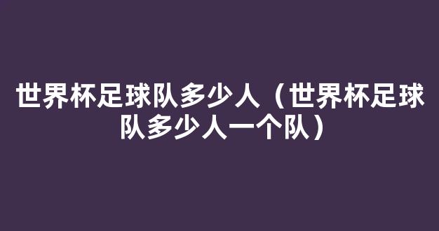 世界杯足球队多少人（世界杯足球队多少人一个队）