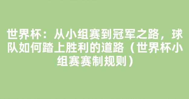 世界杯：从小组赛到冠军之路，球队如何踏上胜利的道路（世界杯小组赛赛制规则）