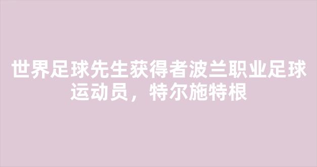 世界足球先生获得者波兰职业足球运动员，特尔施特根