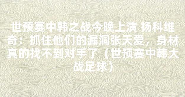 世预赛中韩之战今晚上演 扬科维奇：抓住他们的漏洞张天爱，身材真的找不到对手了（世预赛中韩大战足球）