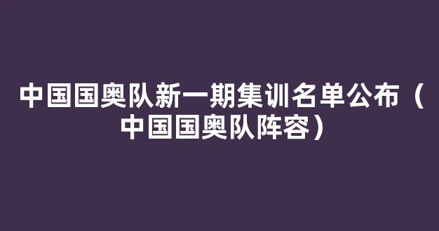 中国国奥队新一期集训名单公布（中国国奥队阵容）