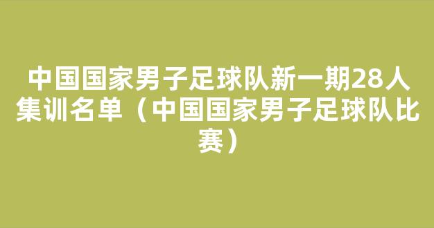 中国国家男子足球队新一期28人集训名单（中国国家男子足球队比赛）