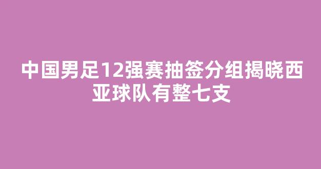 中国男足12强赛抽签分组揭晓西亚球队有整七支