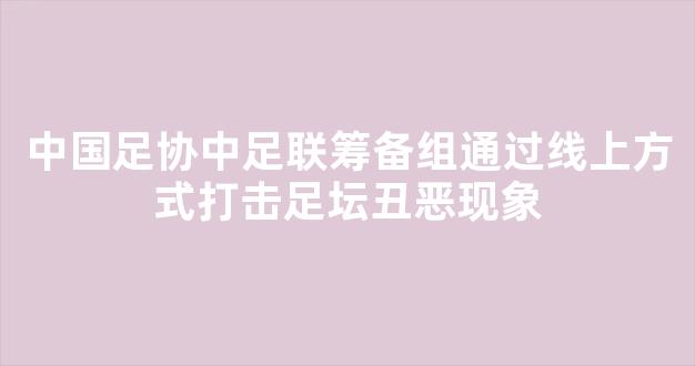 中国足协中足联筹备组通过线上方式打击足坛丑恶现象