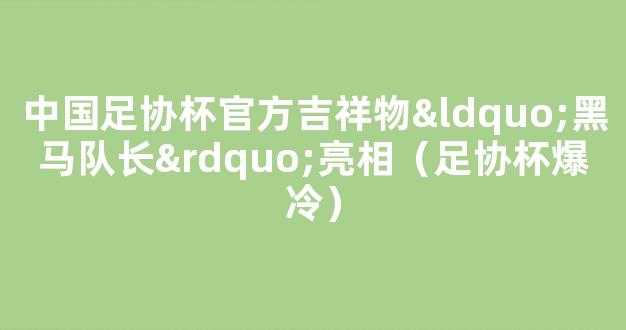 中国足协杯官方吉祥物“黑马队长”亮相（足协杯爆冷）