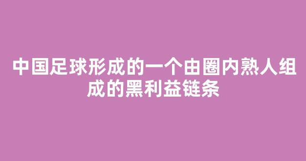 中国足球形成的一个由圈内熟人组成的黑利益链条