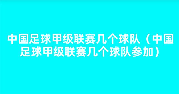 中国足球甲级联赛几个球队（中国足球甲级联赛几个球队参加）