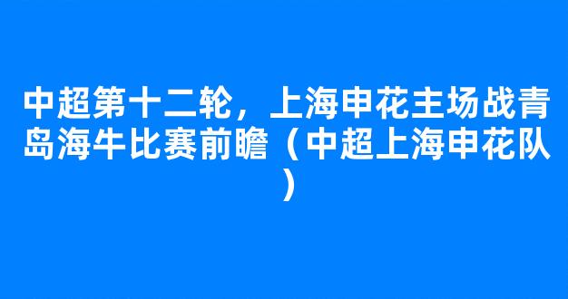 中超第十二轮，上海申花主场战青岛海牛比赛前瞻（中超上海申花队）