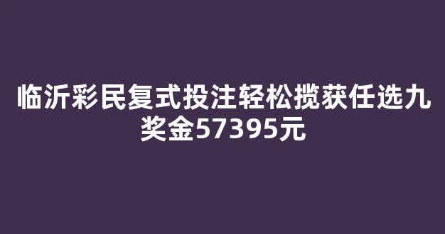 临沂彩民复式投注轻松揽获任选九奖金57395元