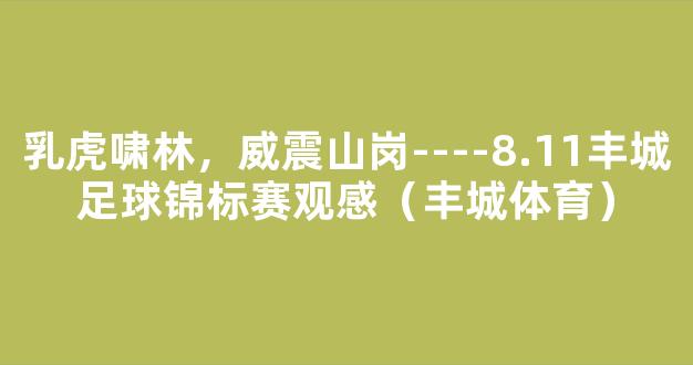 乳虎啸林，威震山岗----8.11丰城足球锦标赛观感（丰城体育）