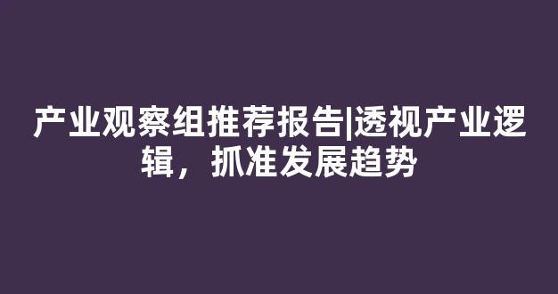 产业观察组推荐报告|透视产业逻辑，抓准发展趋势