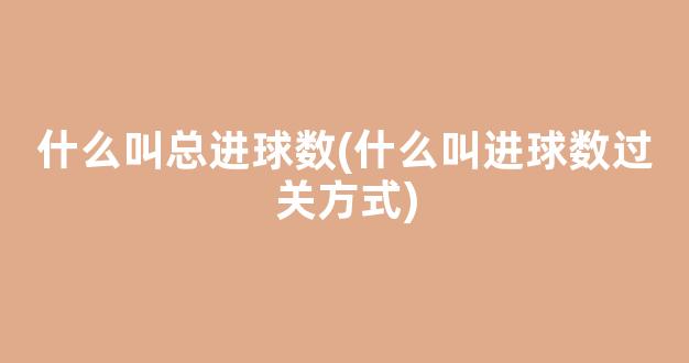 什么叫总进球数(什么叫进球数过关方式)