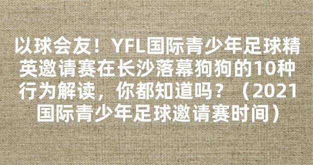 以球会友！YFL国际青少年足球精英邀请赛在长沙落幕狗狗的10种行为解读，你都知道吗？（2021国际青少年足球邀请赛时间）