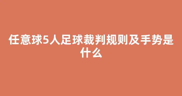 任意球5人足球裁判规则及手势是什么