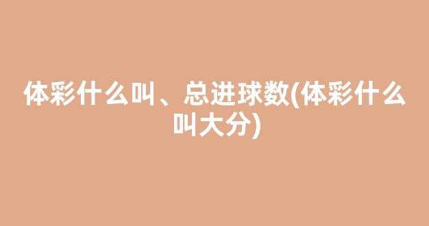 体彩什么叫、总进球数(体彩什么叫大分)