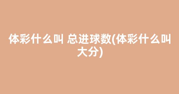 体彩什么叫 总进球数(体彩什么叫大分)