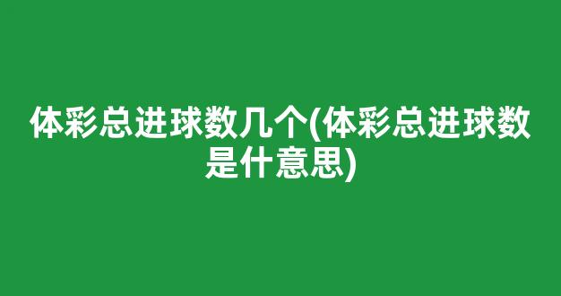 体彩总进球数几个(体彩总进球数是什意思)