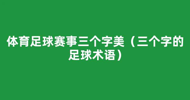 体育足球赛事三个字美（三个字的足球术语）