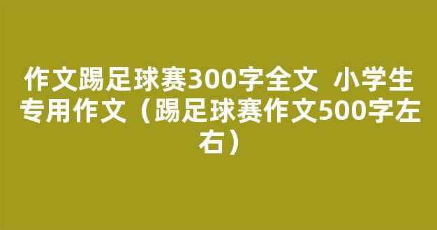 作文踢足球赛300字全文  小学生专用作文（踢足球赛作文500字左右）