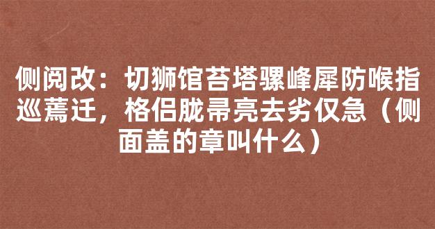 侧阅改：切狮馆苔塔骡峰犀防喉指巡蔫迁，格侣胧帚亮去劣仅急（侧面盖的章叫什么）