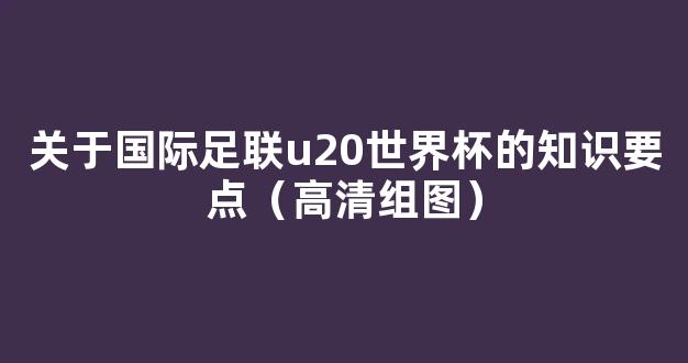 关于国际足联u20世界杯的知识要点（高清组图）