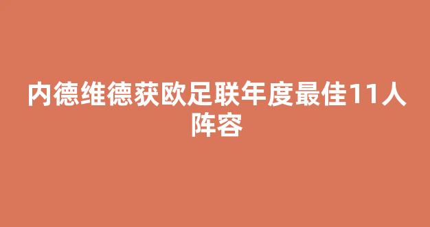 内德维德获欧足联年度最佳11人阵容