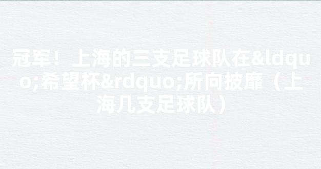 冠军！上海的三支足球队在“希望杯”所向披靡（上海几支足球队）