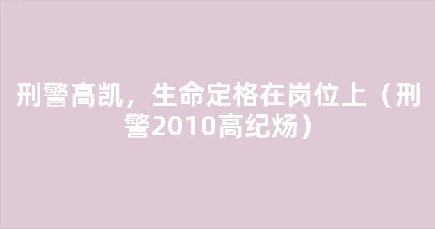 刑警高凯，生命定格在岗位上（刑警2010高纪炀）